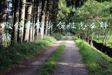 微信绑定身份证怎么解除