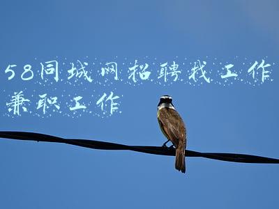 58同城网招聘找工作兼职工作