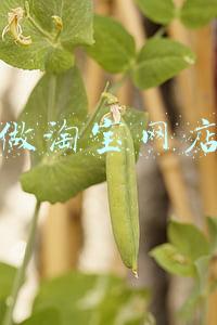 如何做淘宝网店信誉