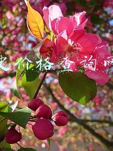 历史价格查询网站