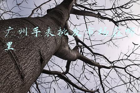 广州手表批发市场在哪里