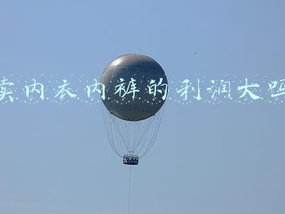 卖内衣内裤的利润大吗