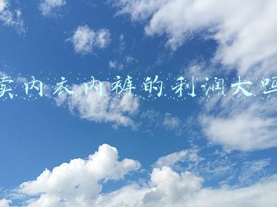 卖内衣内裤的利润大吗