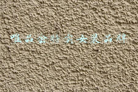 唯品会特卖女装品牌