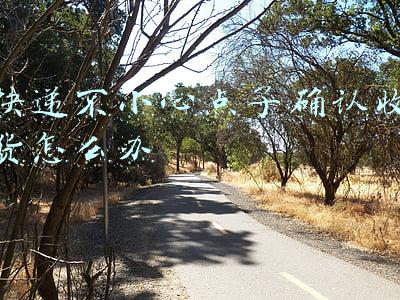 快递不小心点了确认收货怎么办