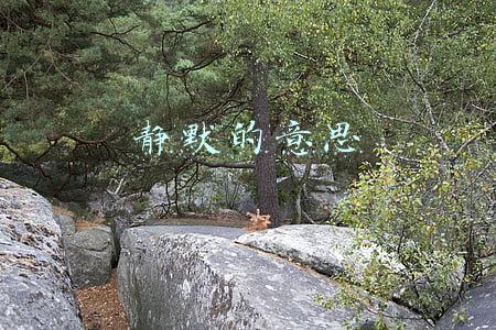 静默的意思