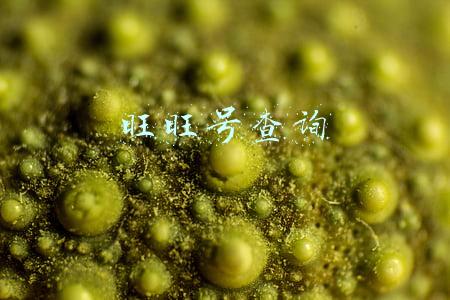 旺旺号查询