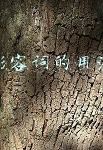 形容词的用法
