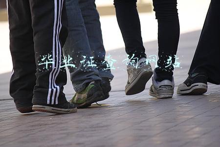 毕业证查询网站
