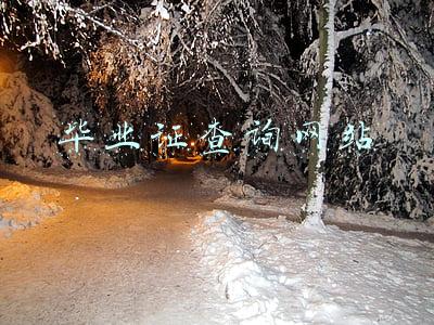 毕业证查询网站