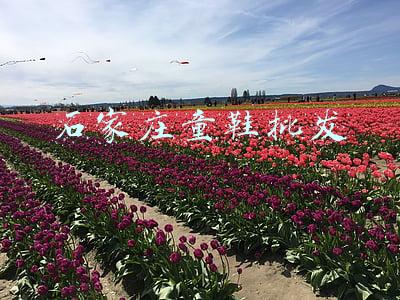 石家庄童鞋批发