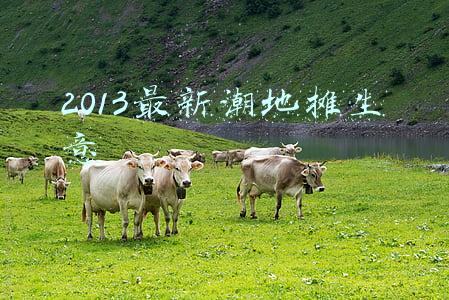 春节50种地摊生意(适合春节摆摊的3个小生意)
