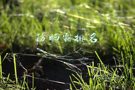 防晒霜排名