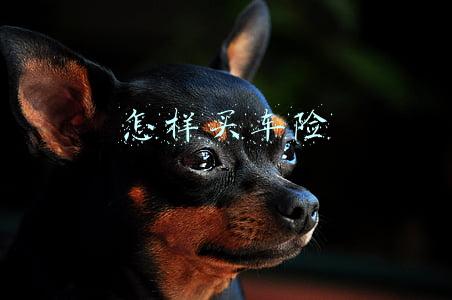 买车险怎么买便宜(车险怎么买最划算？)