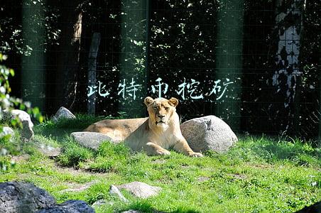 比特币挖矿