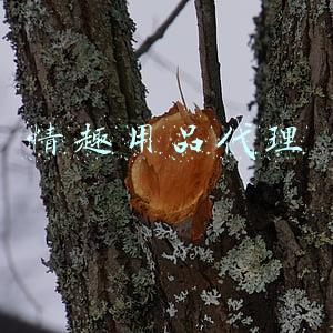 情趣用品代理