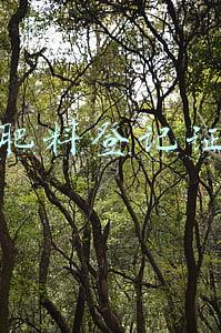 肥料登记证号(关于肥料登记证的6个问题)