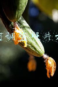 如何调整照片大小
