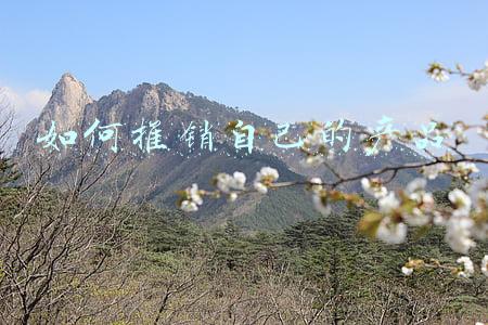 如何推销自己的产品