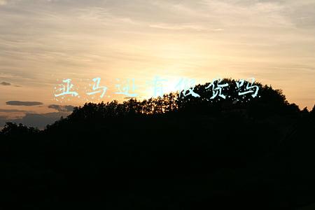 亚马逊的货是真的吗(亚马逊到底为什么要封中国卖家？| 焦点分析)