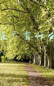 网络推广有什么意义