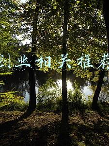 创业相关推荐