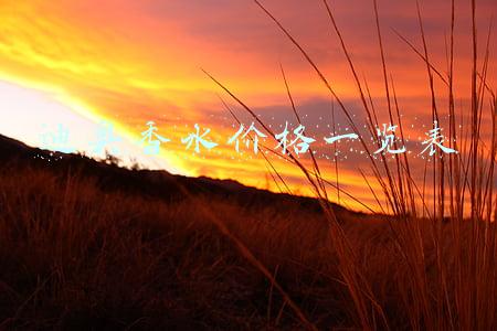 迪奥香水价格一览表