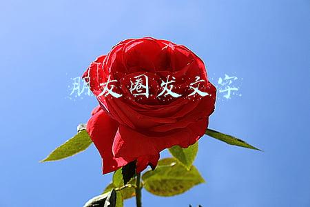 朋友圈发文字