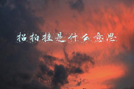 招拍挂是什么意思