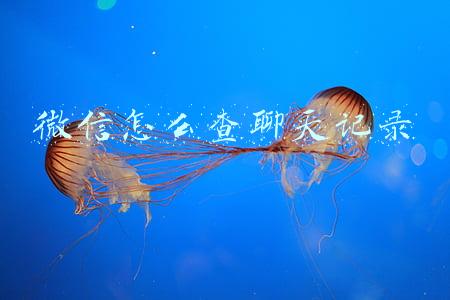 微信怎么查聊天记录分析报告(热议话题：如何获取微信聊天记录分析报告)