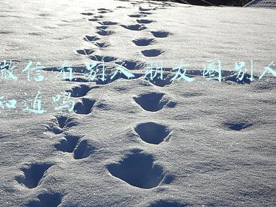 微信看别人朋友圈别人知道吗2022(微信2022春节数据报告出炉：竖屏看春晚短视频记录春节，视频号成年俗传承新阵地)