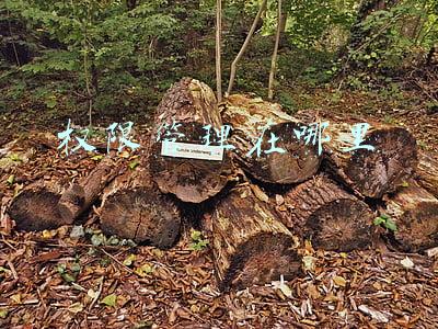 电脑权限管理在哪里(win7如何获得管理员权限？)