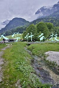 年轻人学什么技术好