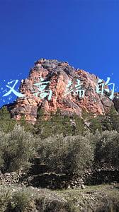 搞笑又高端的队名