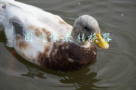 图片像素转换器