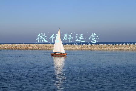 微信群运营 微信群运营