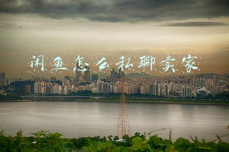 闲鱼怎么私聊卖家