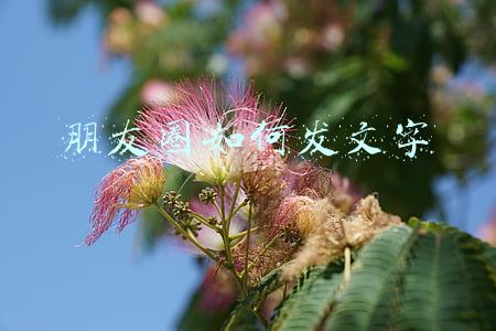 朋友圈如何发文字