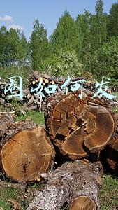 朋友圈如何发文字
