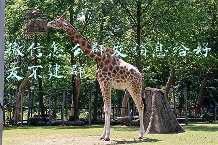 微信怎么群发消息给好友不建群