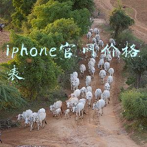 iphone官网价格表