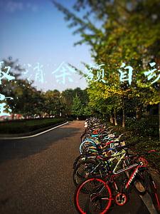 怎么取消余额自动转入余额宝