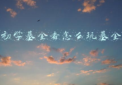 初学基金者怎么玩基金