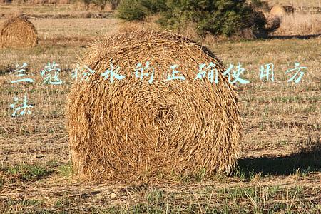 兰蔻粉水的正确使用方法