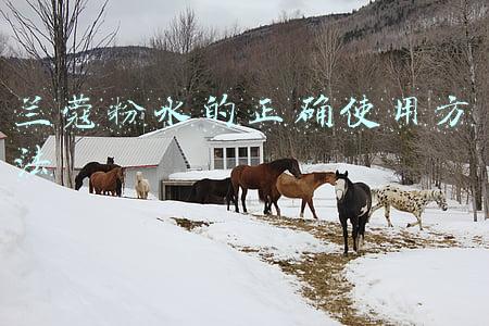 兰蔻粉水的正确使用方法