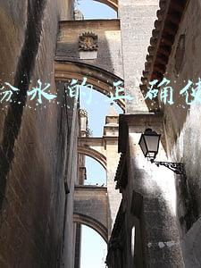 兰蔻粉水的正确使用方法