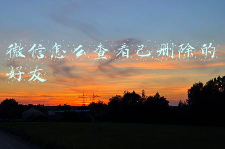 微信怎么查看已删除的好友