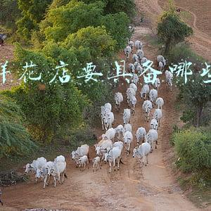 开鲜花店要具备哪些条件