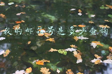 我的邮箱号是多少查询