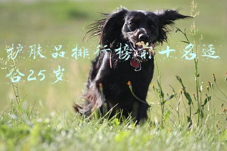 护肤品排行榜前十名适合25岁